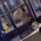 Designer Dash: Thieves Snag Louis Vuitton in NYC—Watch What Happens! | Try Not to Laugh