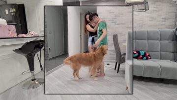 Golden-Retriever-Gets-Adorably-Jealous-of-Owners-Husband-Super.jpg