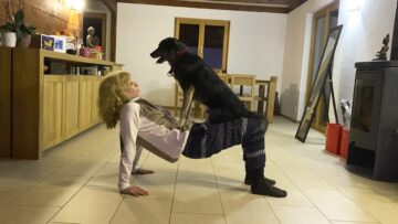 Adorable-Dog-Workout-With-Owner-Energetic-Effort-A.jpg