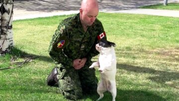 Dogs-Joyful-Reaction-to-Military-Owners-Surprise-Homecoming-Heartwarming.jpg