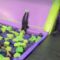 Trampoline Park Wall Run Gone Wrong: Epic Foam Pit Faceplant! | Try Not to Laugh