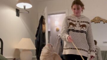 Epic-Bed-Jump-Gone-Wrong-Cats-Hilarious-Dive-Will-Leave.jpg