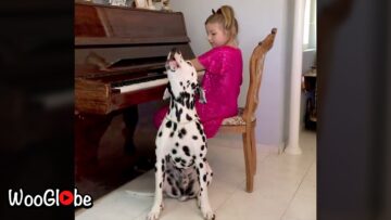 Little-girl-plays-piano-and-dog-sings-along-Super.jpg