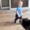 Little Adventurer Falls for a Sneaky Trap on His Mission! | Adorable