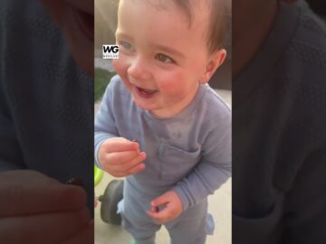 Babys-Hilarious-Attempt-to-Snack-on-a-Ladybug-Will-Make.jpg
