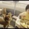 Cutest Mealtime Ever: Baby and Dog Share a Snack with Love! | Heartsome