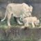 Lioness’s Heartwarming Rescue of Cub During Epic Swimming Lesson | Adorable!