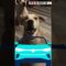 Watch These Rescue Dogs Take the Wheel—Their Driving Skills Will Leave You in Stitches! | Adorable