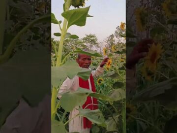 Watch-This-Heartwarming-Moment-That-Will-Make-You-Smile-Instantly.jpg