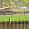 When Trees Attack: Swing Set Takes a Hit in Hilarious Outdoor Mishap! | Try Not to Laugh!